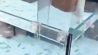 Amazing Fish
