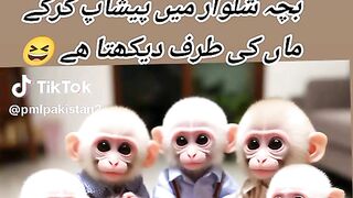 Funny videos