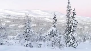 Asablarni mustahkamlaydi