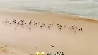 البحر العميق
