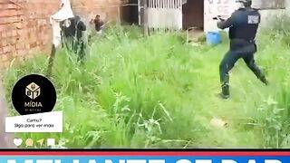 Olha esse ladrão se dando mal