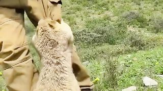 The scoundrel attacked a man and demanded chips