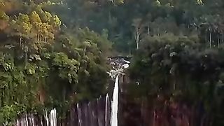 Nature's beauty