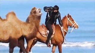 Mashaallah