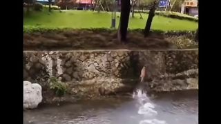 Funny video ????????