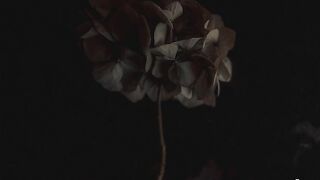Voyager · Roudeep
