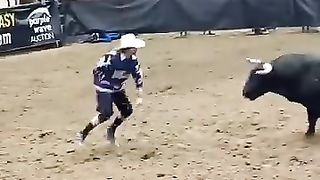 Bullssssss