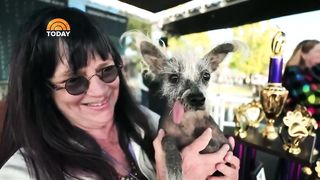 Scooter is the owner of the title of the scariest dog in the world