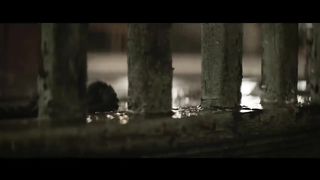 OneRepublic - Counting Stars