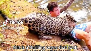 Leopard attacking someone