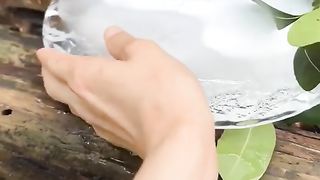 Red panda enjoys ice in the heat