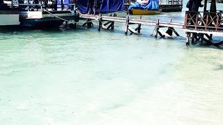 world pirate dock