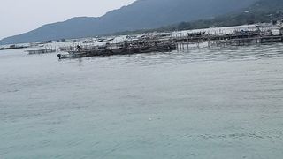 the harbor of freedom for the world's pirates