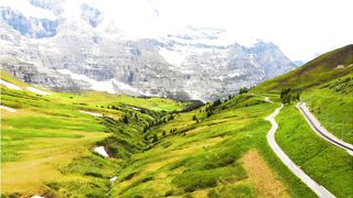 Beautiful Natural View 1