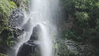 Waterfall in forest