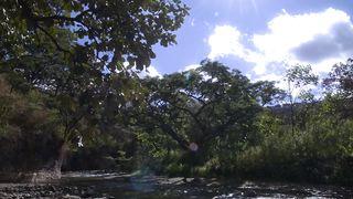 River timelapse
