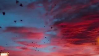 Йигит кишининг энг катта садақаси.