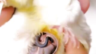 Amazing video
