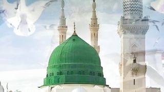 New Beautlfull video Qurani verses shorts Video share plz subscribe and watch my video  pageforyou_ trending video 100 #unfrezzmyaccount #pageforyou_
