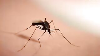 Alien Invasions Top Movie Netflix 2024 #entertainment #movies #scene #films #viralvideos