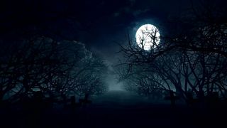 Full moon in the forest on Halloween
