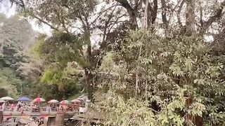mountain  springs