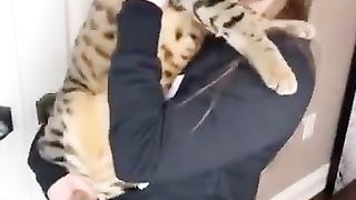 FUNNY CAT VİDEOS