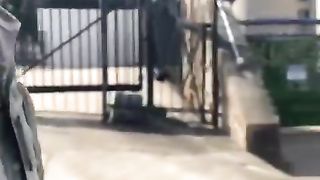 فری فلسطین فری فلسطین