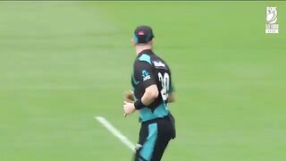 Australia vs New Zealand 3rd T20 Highlights 2024 - Aus vs NZ