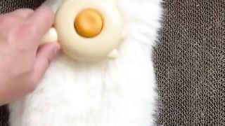 Reasons To Brush Your Cat! ???? #foryou #cleaning #clean #kitten #cat #satisfactory #shorts #pet.