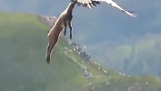 Funny move