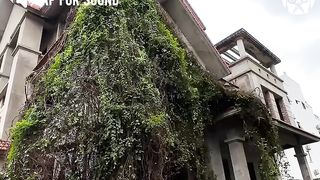 Clean home
