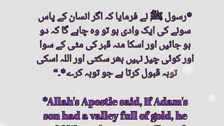 Har nai subha aik hadis ky Sath...#shortsfeed #reels #islamicstatus # #fyp #viral #shorts