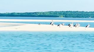 Nguratavur beach, Maluku Indonesia
