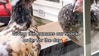 Nice bird