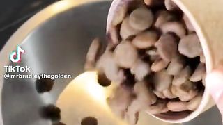Amazing video