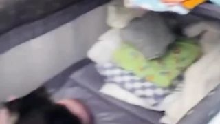 Cat playing with little boy