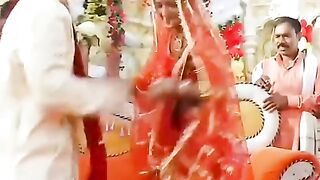Best video 2024
