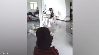 Funny Cat 2024 Caught On CCTV!