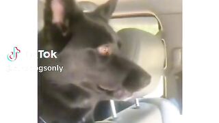 Amazing video