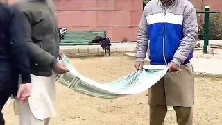 Nice video