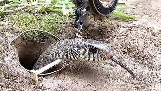 Nice video