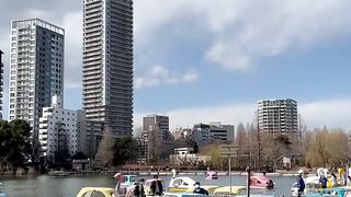 Nutare