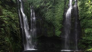 A beautiful video of a waterfall inside a jungle.
