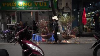 EXTREME STREET FOOD TOUR in Vietnam ???????? (Eating Like a Local in Hanoi)