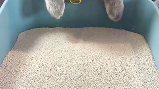 Amazing video
