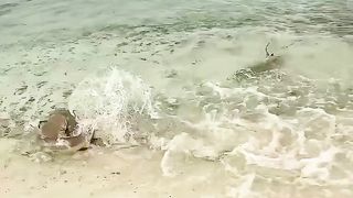 sea ​​monster attacks, destroying everything