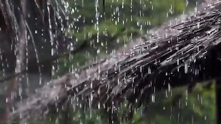 30 min Rain Meditation for Deep Sleep, Relaxing for Pregnant Women - Relax music during Pregnancy