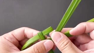 Origami