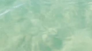 when turtles are attacked by sharks, and they say to humans, please protect me.